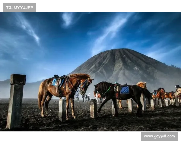 巴厘岛传统祭祀舞与花游创意融合 印尼队本土文化创新表现获高度评价